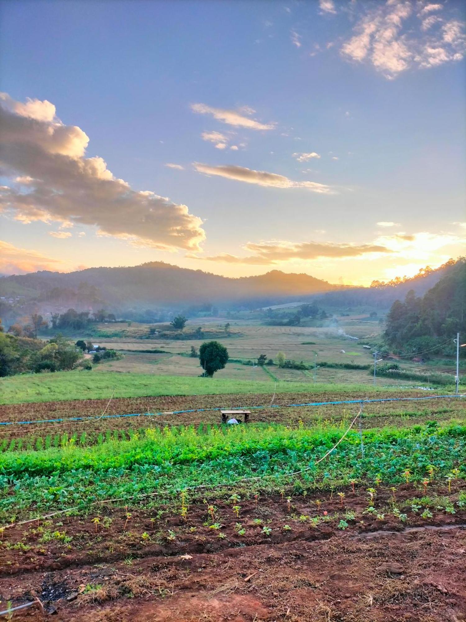 สวนไร่รุ่งอรุณ Suan Rai Rungarun Ban Na Pa Paek Exterior foto